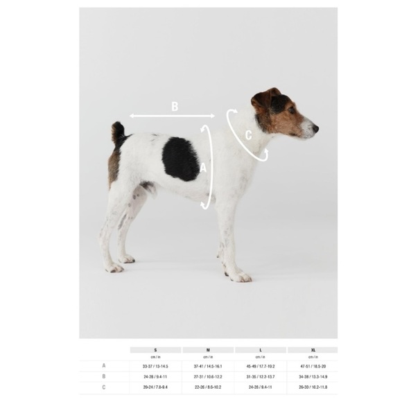 Zara Pet Dog Muscle Tee - Picture 7 of 10